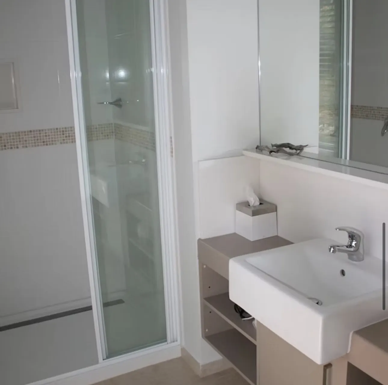 Private ensuite with walk-in shower, basin and mirror