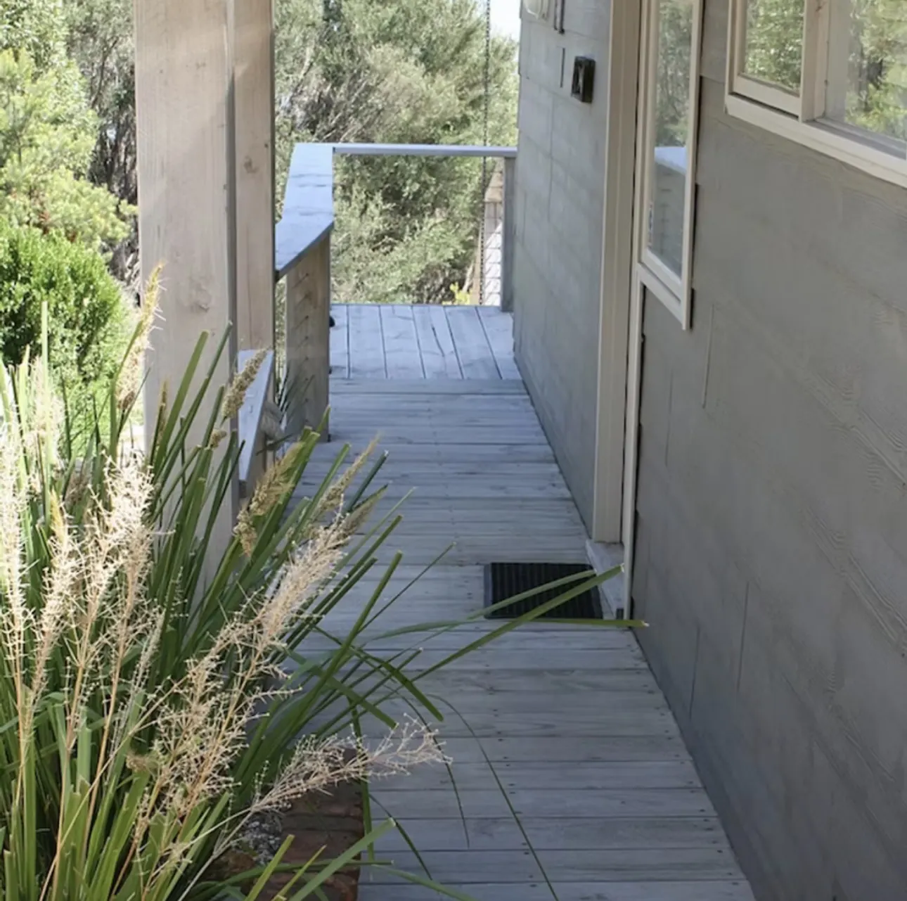 Timber walkway edged with native grasses running along the side of the house